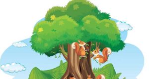 mnogo veverica oko drveta