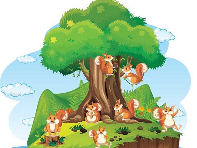 mnogo veverica oko drveta